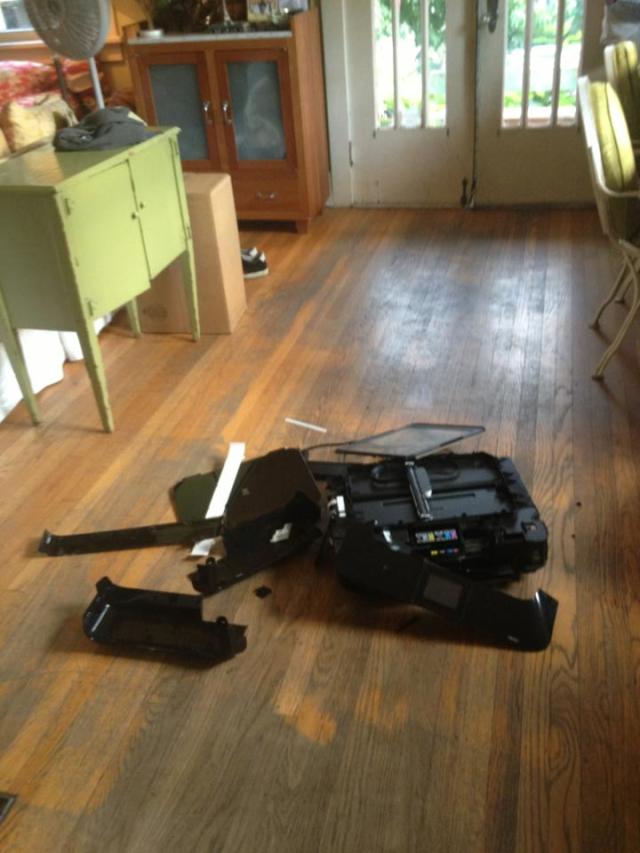 1175708_10202038000901167_411503297_n